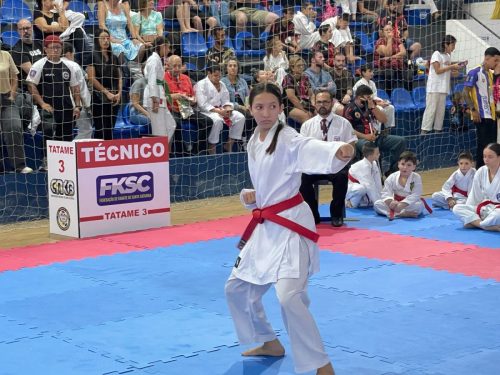 Estadual12