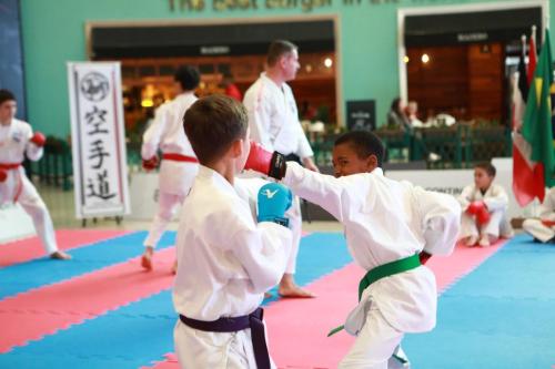 Karate_Shopping (126)