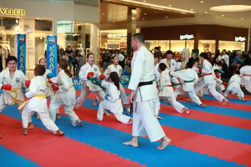 Karate_Shopping (30)