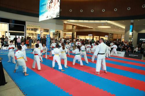 Karate_Shopping (35)