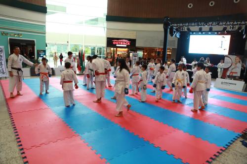 Karate_Shopping (7)