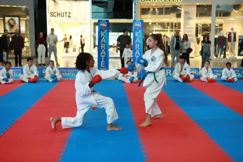 Karate_Shopping (71)