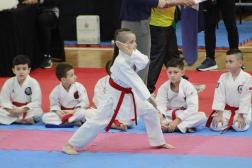 Atleta Bryan realizando a sua apresentação do Heian Godan. 