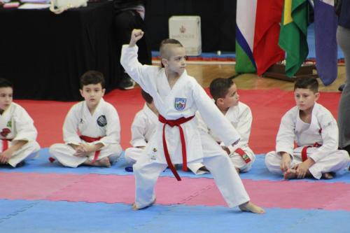 Atleta Bryan realizando a sua apresentação do Heian Godan. 