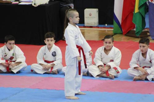 Atleta Bryan realizando a sua apresentação do Heian Godan. 