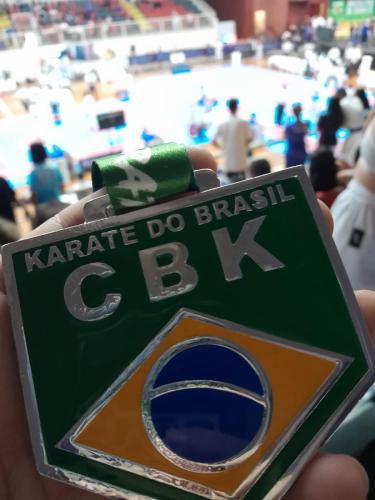 campeonato-brasileiro-joinvile (3)