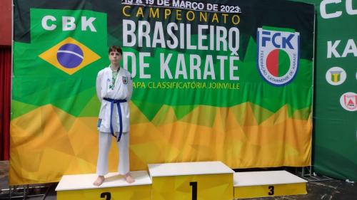 campeonato-brasileiro-joinvile (4)