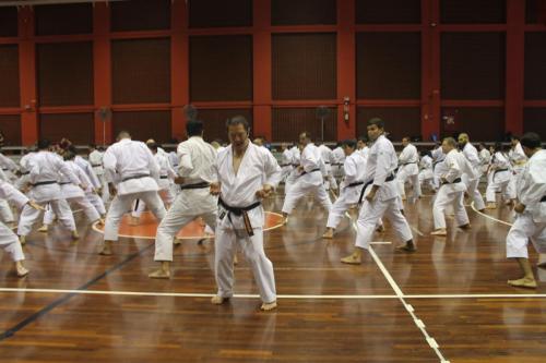 curso-internacional-sensei-masao-kagawa-2022 (3)