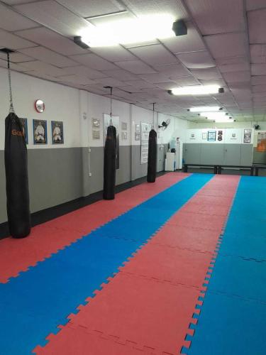 dojo-apk (10)