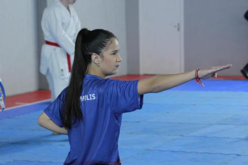 karate-nos-joguinhos-abertos (23)